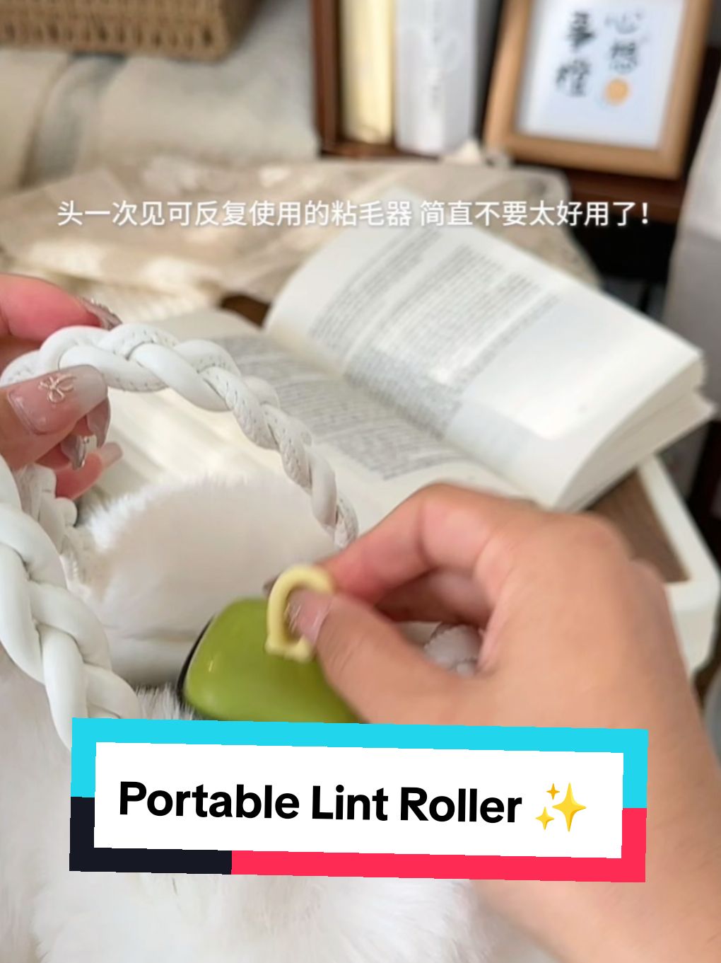 Portable Lint Roller ✨️  #lintroller #pethairremoval #dogproducts #dogs 