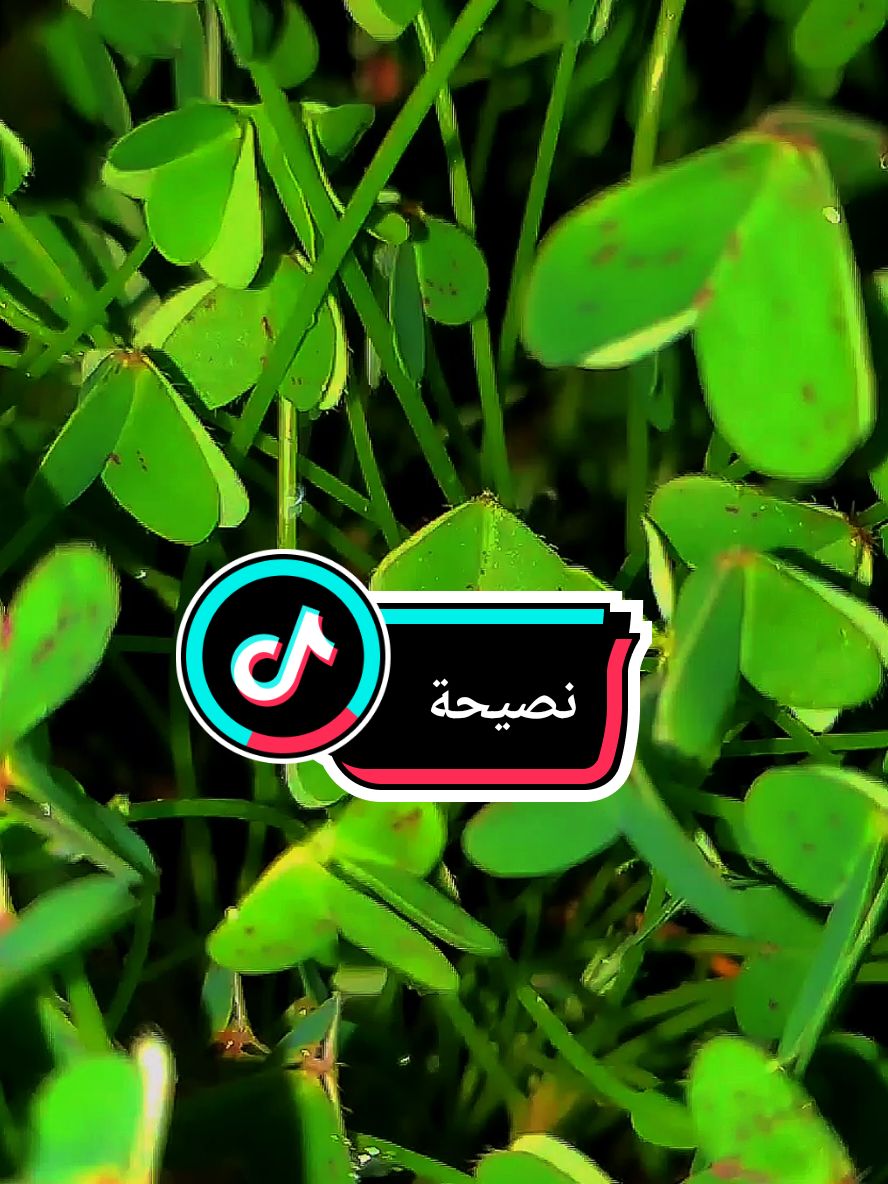 نصيحة #_ezel_h #نصيحة #cap #tik_tok  @◦•◉✿ 𝐋ίά𝐍๔Ř𝓪 ✿◉•◦ 