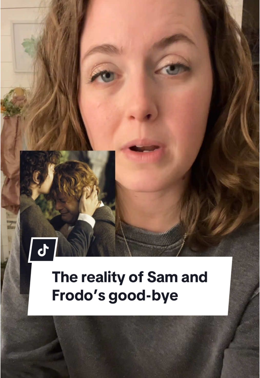 the reality of samwise gamgee's goodbye to frodo baggins in the lord of the rings #samwisegamgee #frodobaggins #thelordoftherings #lordoftherings #lotr #lordoftheringstiktok #lotrtok #lotrlore #tolkientok