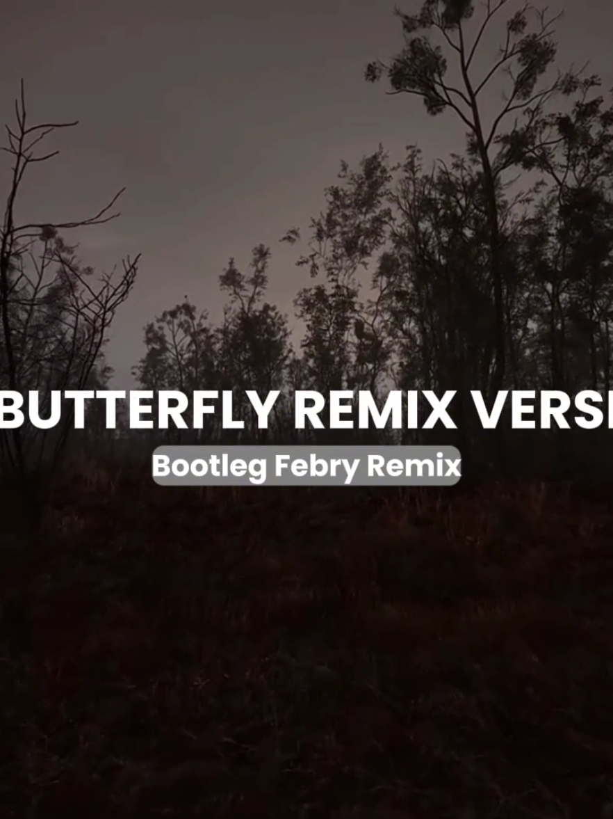 dj butterfly remix version🎶 #fyp #febryremix #4u #4upage #tiktok #tiktok #trend #djremix #bootlegfebryremix 