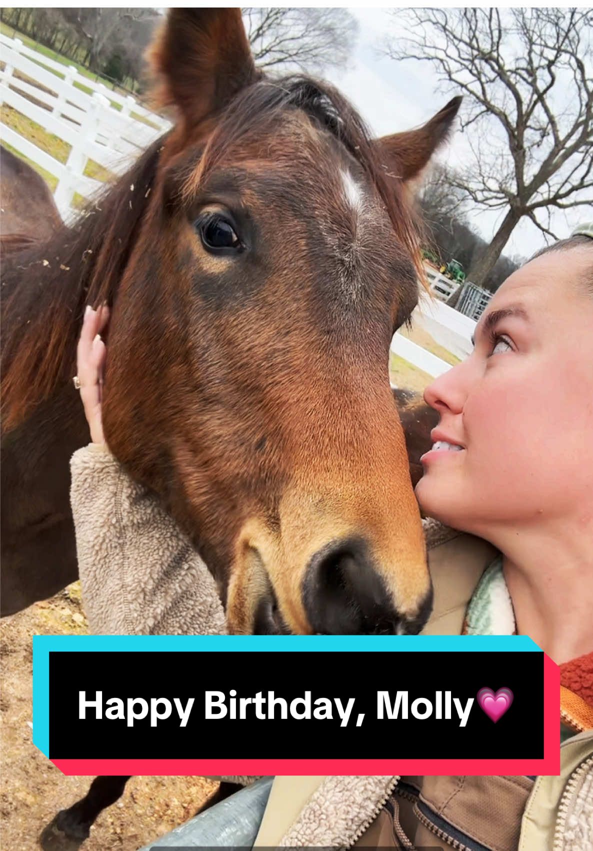 Happy Birthday, Molly🐴💗 #yearling #aqhayearling #babyhorse #foalsof2024 #aqhafilly 