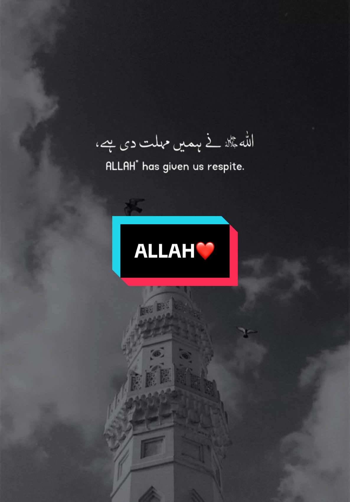 #CapCut  Allah ❤️ #foryou #fyp #foryoupage #viral #moreviews #islamicvideo #allah #allahuakbar #fyppppppppppppppppppppppp #saamithoughts @TikTok 