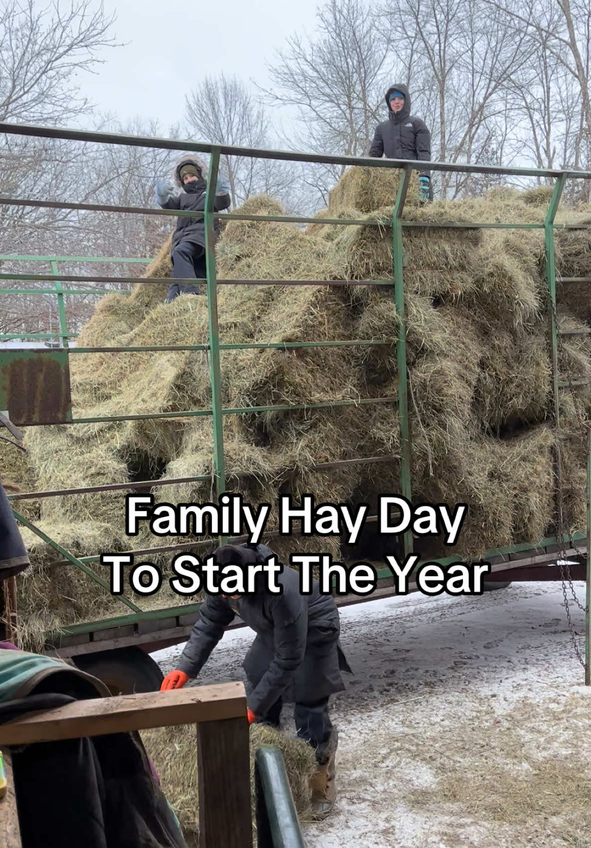 Let’s start this year off right! #familytime #FamilyFun #familythings #horsegirl #horsesoftiktok #horsetok