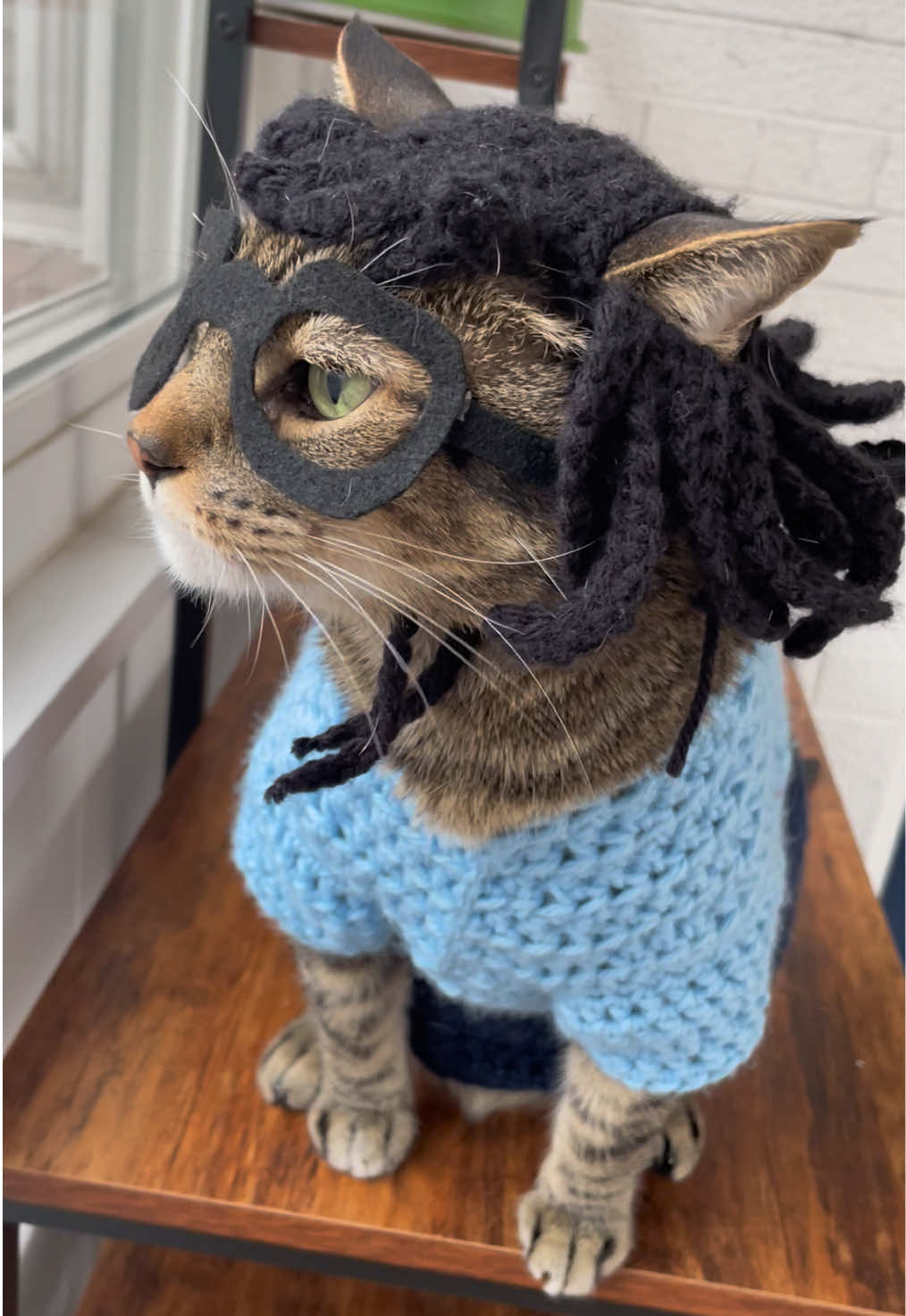 Channeling Tina as we head into 2025 💅🏻 #tinabelcher #bobsburgers #chanceinhats #cathat #crochetcathat #catsinhats #cosplay 