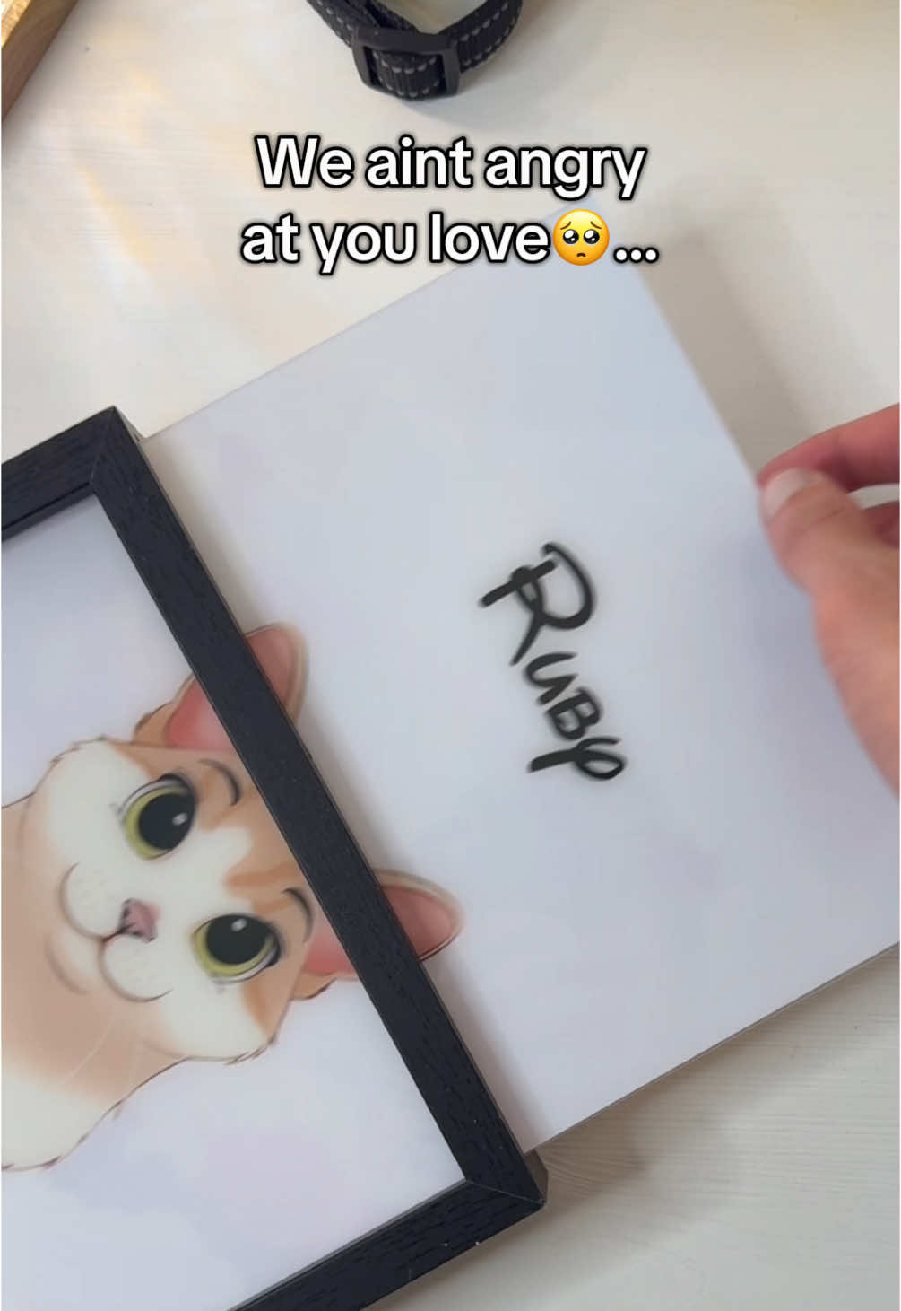 I forgive you Ruby🥲 #catsoftiktok #catlovers 