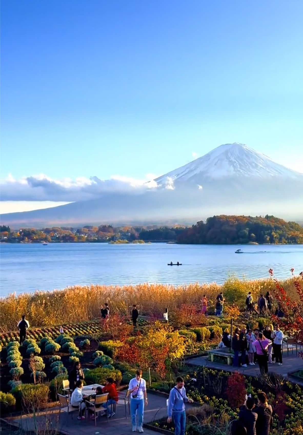 #kawaguchiko #河口湖 #mtfuji #富士山 #fujisan #大石公園 #oishipark #relaxmejapan #日本 #autumn #秋  #fypシ゚viral #colorful #dayout 