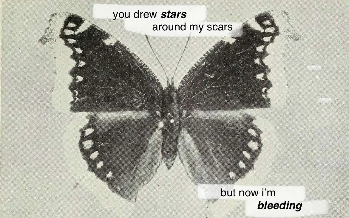 #webweaving #webweavingslideshow #poetry #poetrytok #Love #grief #heartbroken #lonely #fyp 