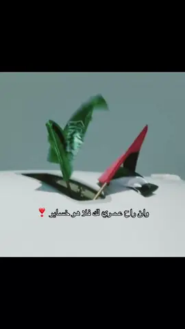 #نوره_تحب_الامارات 🇸🇦🇦🇪🤍 #الاماراتي_سعودي_والسعودي_اماراتي 