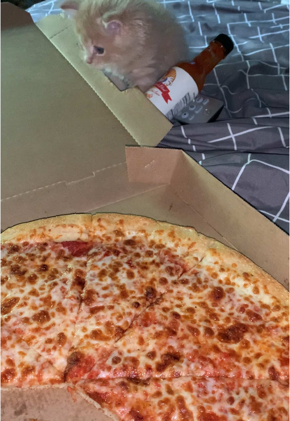 Pizza flavored cardboard, yum