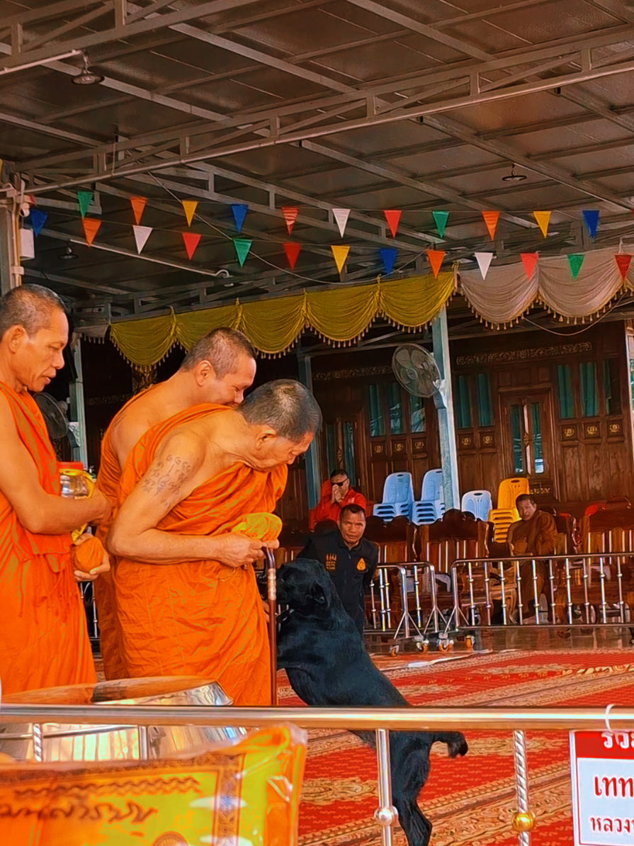 เข้ากราบหลวงปู่ศิลารับพรปีใหม่ สาธุ🙏#2/1/68#หลวงปู่ศิลา#อุทยานธรรมสถานหลวงงปู่ศิลา#กาฬสินธุ์ 