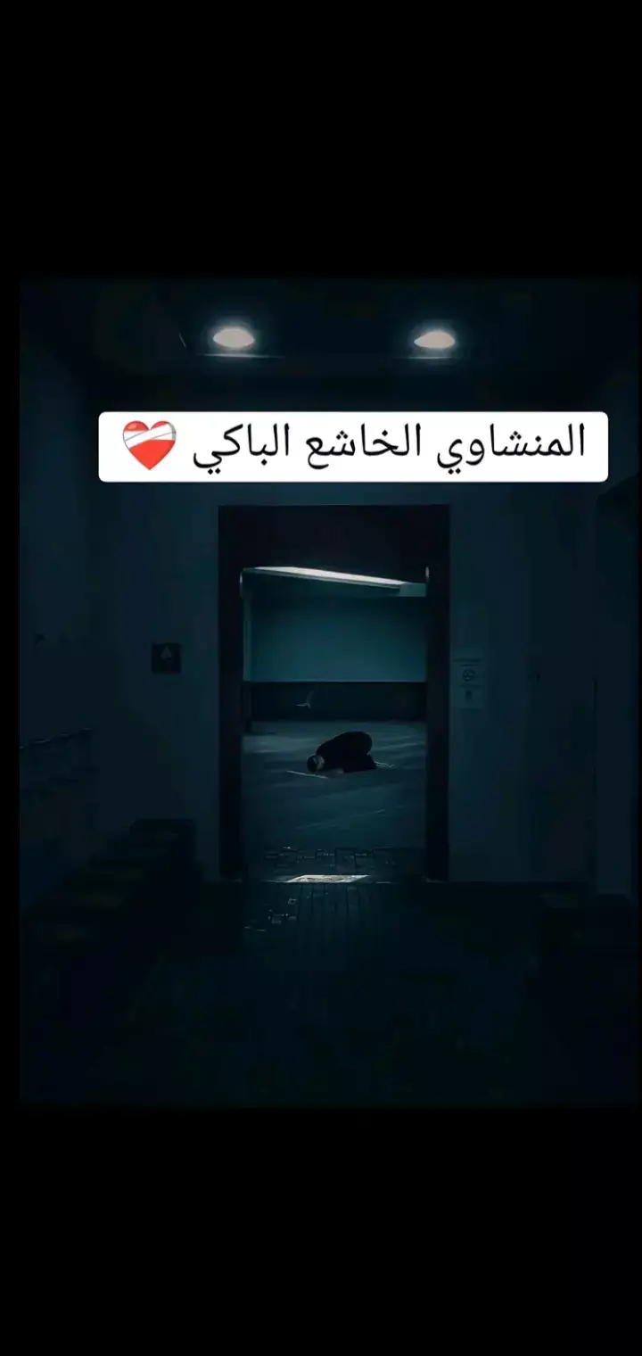 #الشيخ_المنشاوي 