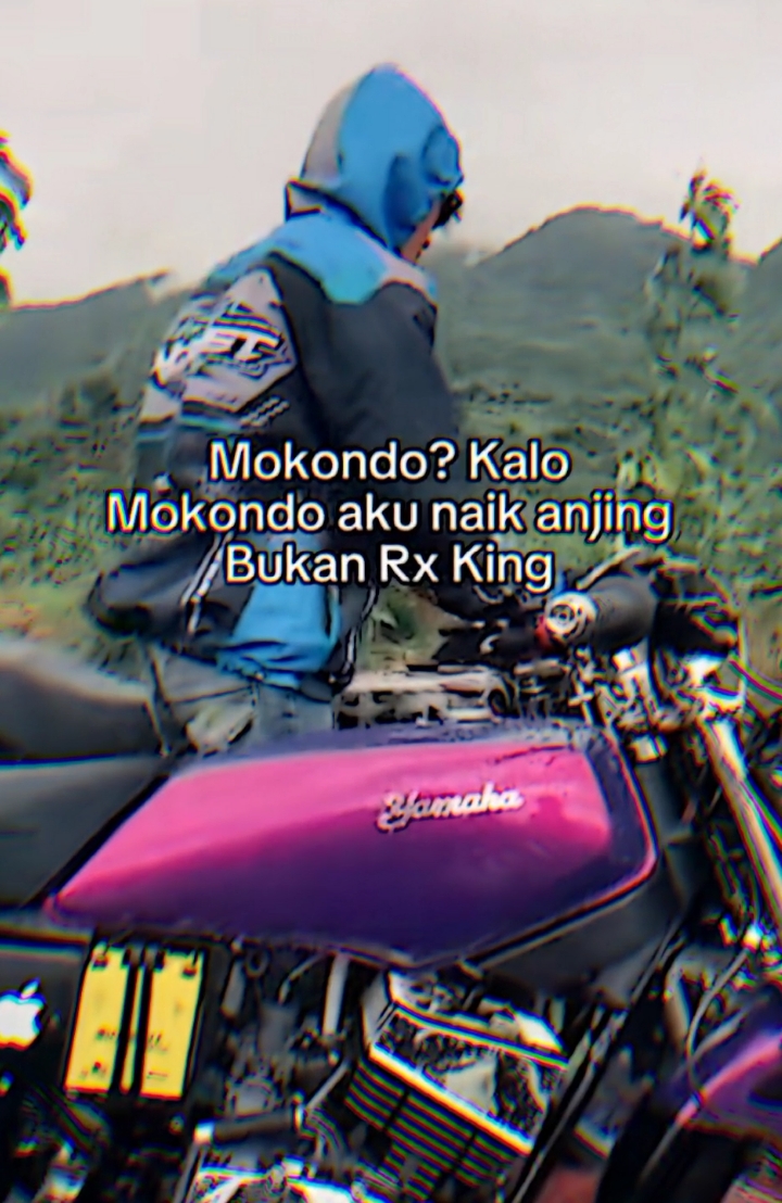 mending naik anjing,daripada harus mokondo🫵🤪 #rxspecial #rxspecial115 #rxking #rxspecialmenolakpunah #rxkingindonesia #rxkingmodifikasi #rxnusantara 