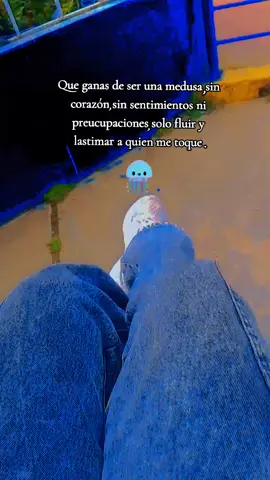 🗣 :🪼#✨✨✨ 