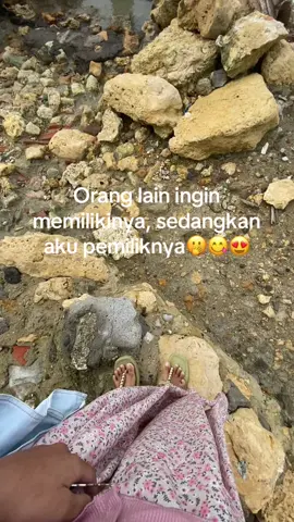 #bucinera#katakataviral#madurapride#masukberandafyp#bangkalanmadura#fypシ゚viral 