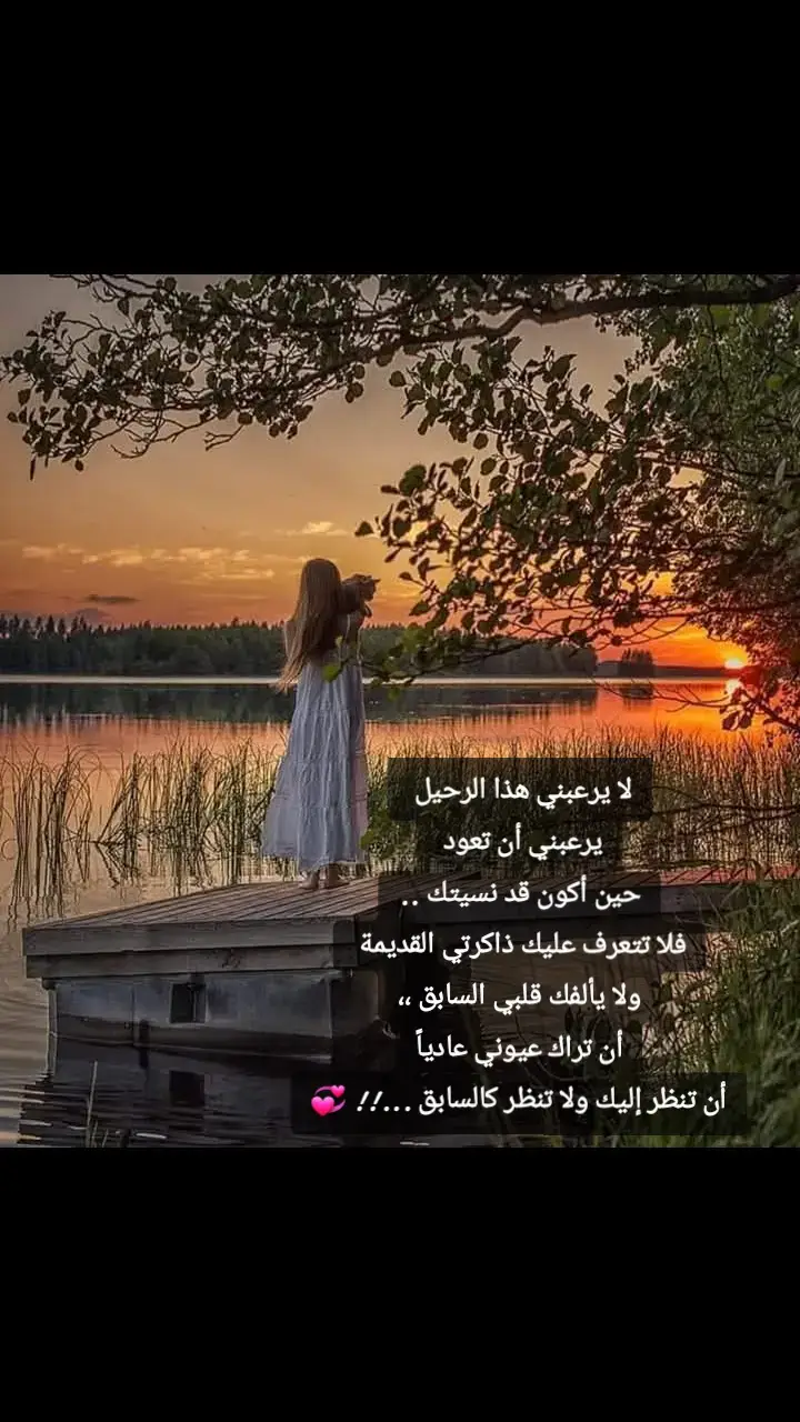 #واسط_كوت🍂 