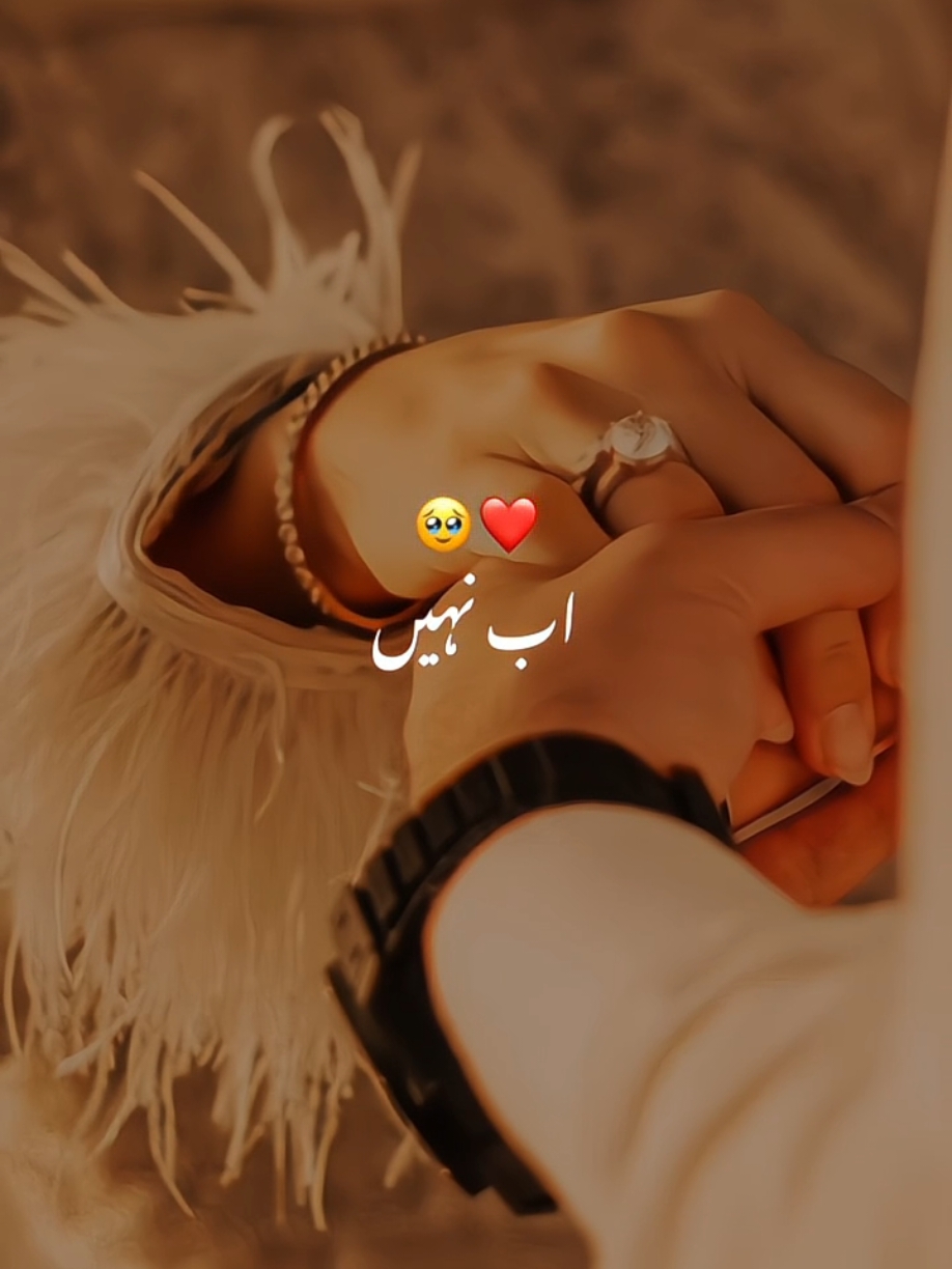 bin tery ye Jahan ab nahi ❤️🥺 #lovestatus #songs #foryou #foryoupage #viral 