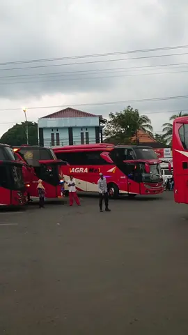 Terminal Pracimantoro, Terminal Agramas. #terminal #pracimantoro #agra #agramas #busmania #bismania #fyp #foryourpage #wonogiri #indonesia