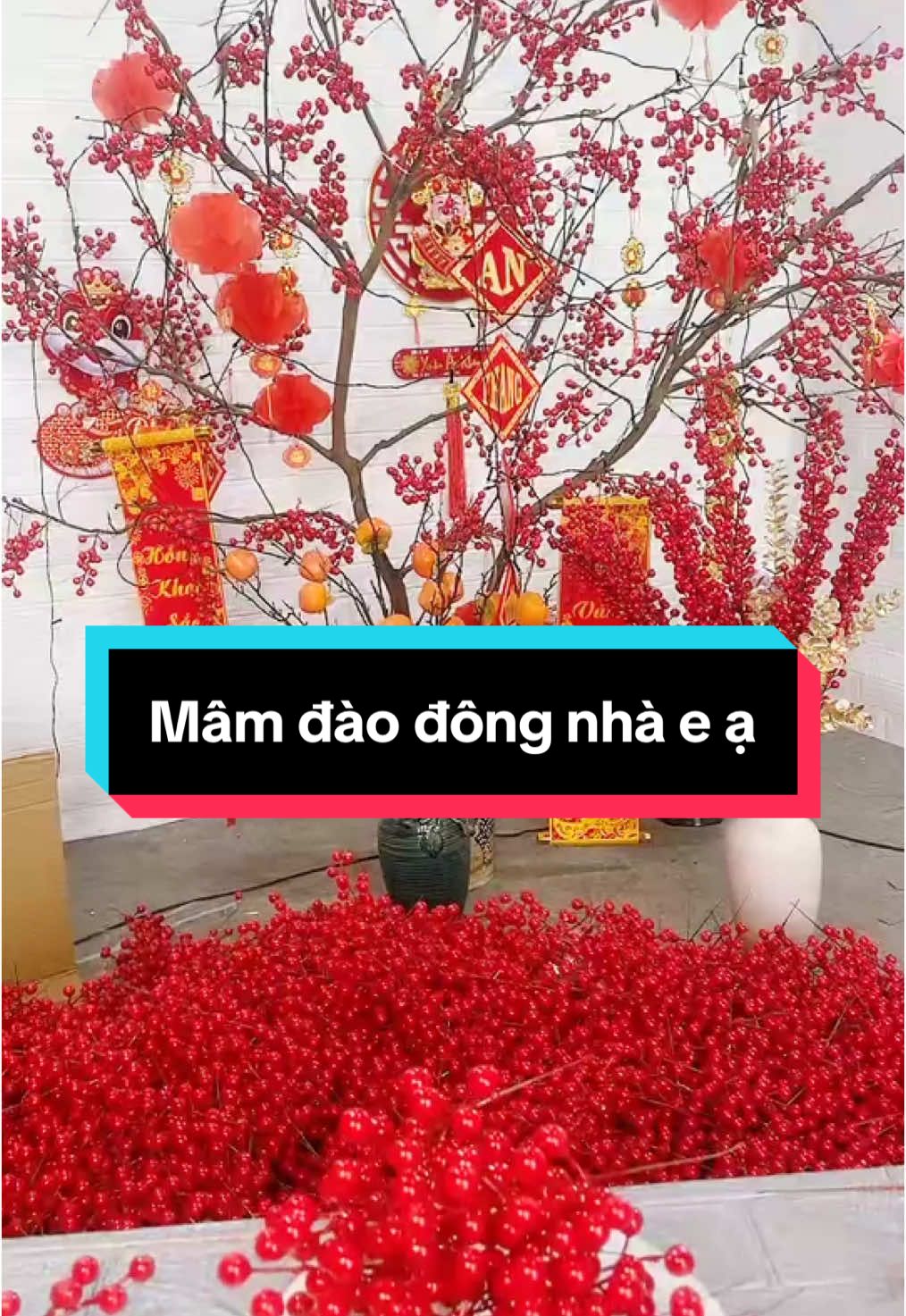 #LIVEhighlights #TikTokLIVE #LIVE  lên mâm đào đông quả 😍😍😍😍😍 #nhanhdaodong #daodongdontet #daodong12nhanh #tet2025♥ #tết2025vạn_sự_như_ý🥰 #tet2025♥ #xuhuongtiktok 