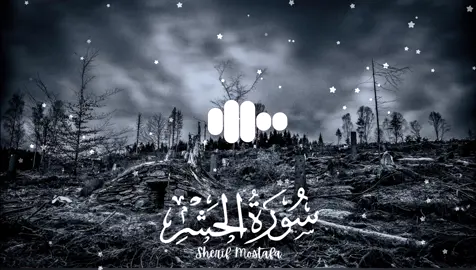 Surah Al-Hashr سورة_الحشر Complete : The Verses That Touch the Heart and Uplift the Soul 🌟 #surahalhashr #surahhashr #سورة_الحشر#quran #quranrecitation #quranvideo #quran_alkarim #fyp #foryoupage❤️❤️ #beautifulquranrecitation #tilwat #quranverses #قرآن #قرآن_كريم #قرآن_كريم_راحة_نفسية #قرآن_كريم_راحة_نفسية🌷🌻 #quranforsleep #lofi #lofiquran