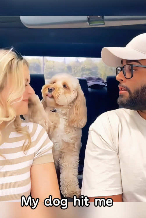 My dog hit me#funny #funnyvideo#laugh