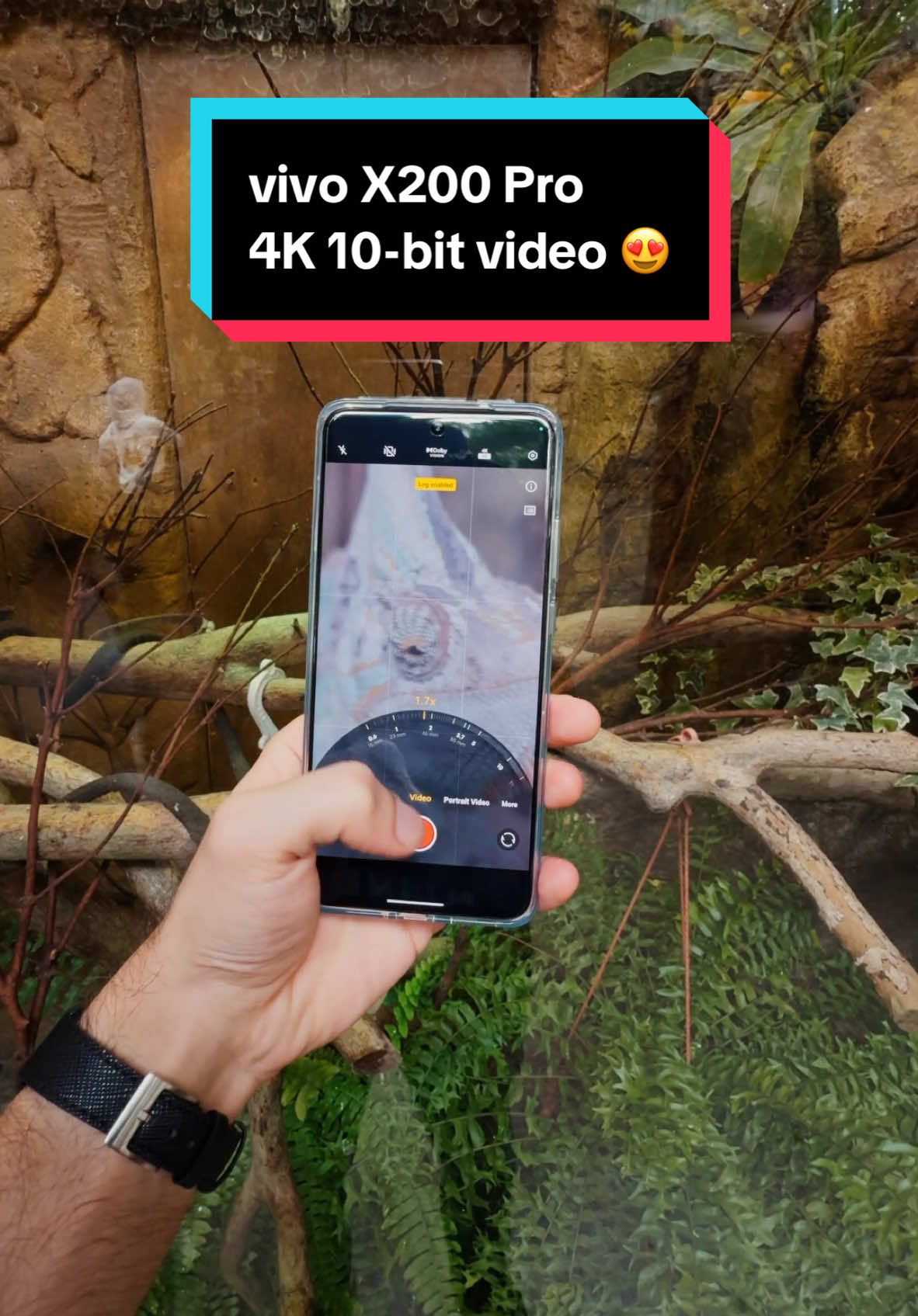 vivo X200 Pro can shoot in 4K 10-bit LOG officially making it my go-to Android phone for shooting video alongside my iPhone 16 Pro Max. 😍 I usually only trust me iPhone camera when it comes to shooting video especially with the ProRes LOG on it, but the X200 Pro does a very good job alongside it! Only thing I wish was slightly better would be the stabilization on the X200 Pro when shooting video, like the iPhone. 📸 More videos coming soon! #vivox200pro #vivox200procamera #vivo #macrophotography #colorgrading #colorgrade #androidcamera