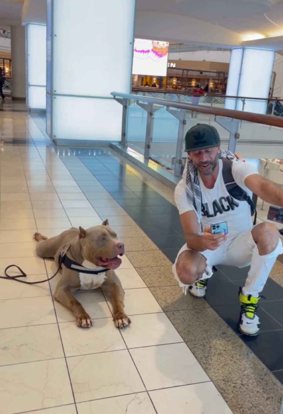 His name is 1942 aka preach he is big and lovable and he loves being out in the public so if you ever see him don’t be afraid to approach and say hello! #manbestfriend #foryoupage #xlamericanbully #explorepage #creatorsearchinsights #servicedoglife #servicedog #dogs #atlantadogs #lenoxmall