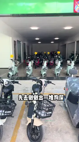 新的一年继续努力#电动车 