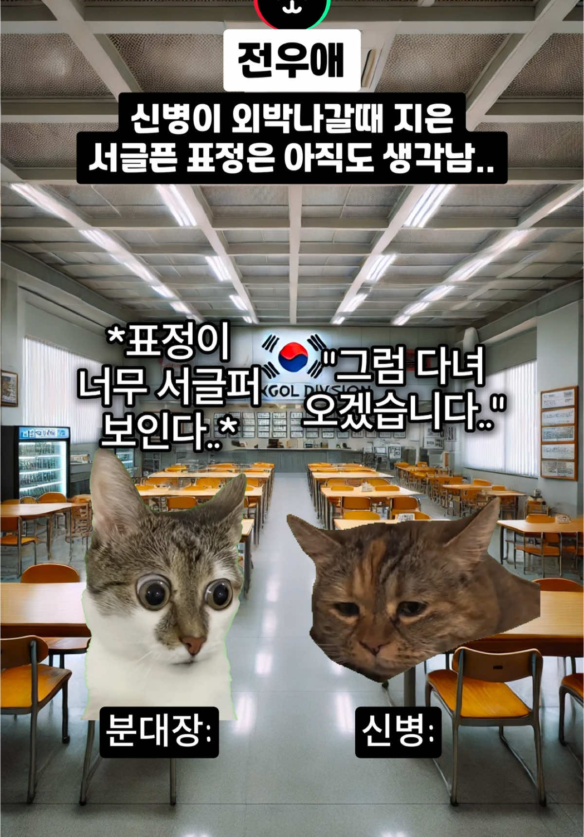 A급 신병 때문에 펑펑 울었던 썰 #고양이밈 