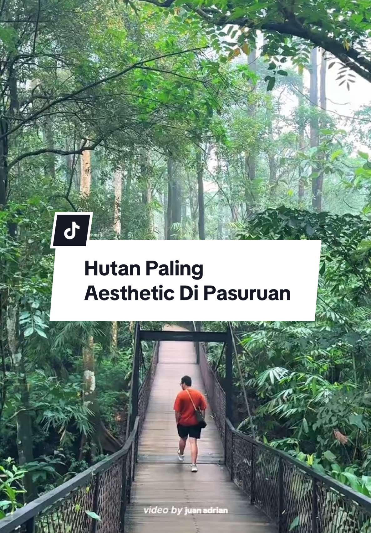 HUTAN PALING AESTHETIC Buat kamu yang tinggal di area Malang, Surabaya, Mojokerto atau Pasuruan seenggaknya cobain deh main ke tempat ini. Selain tempatnya tenang, aesthetic dan bisa jadi tempat ngechill keluarga sekaligus wisata edukasi buat anak-anak. Kalau aku ditanya mau gak kesini lagi, pasti ku jawab MAU BANGET!!!