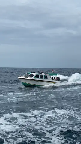 SB.DELIMA 02#CapCut #speedboat #spedtarakan #speed #sped #balapspeedtarakan #tarakan #tarakanku #tarakanpunyacerita #derawan #derawanisland #fypage #fyppppppppppppppppppppppp #fypシ゚ #xbcyza #fypdong #fyp #fyppp 