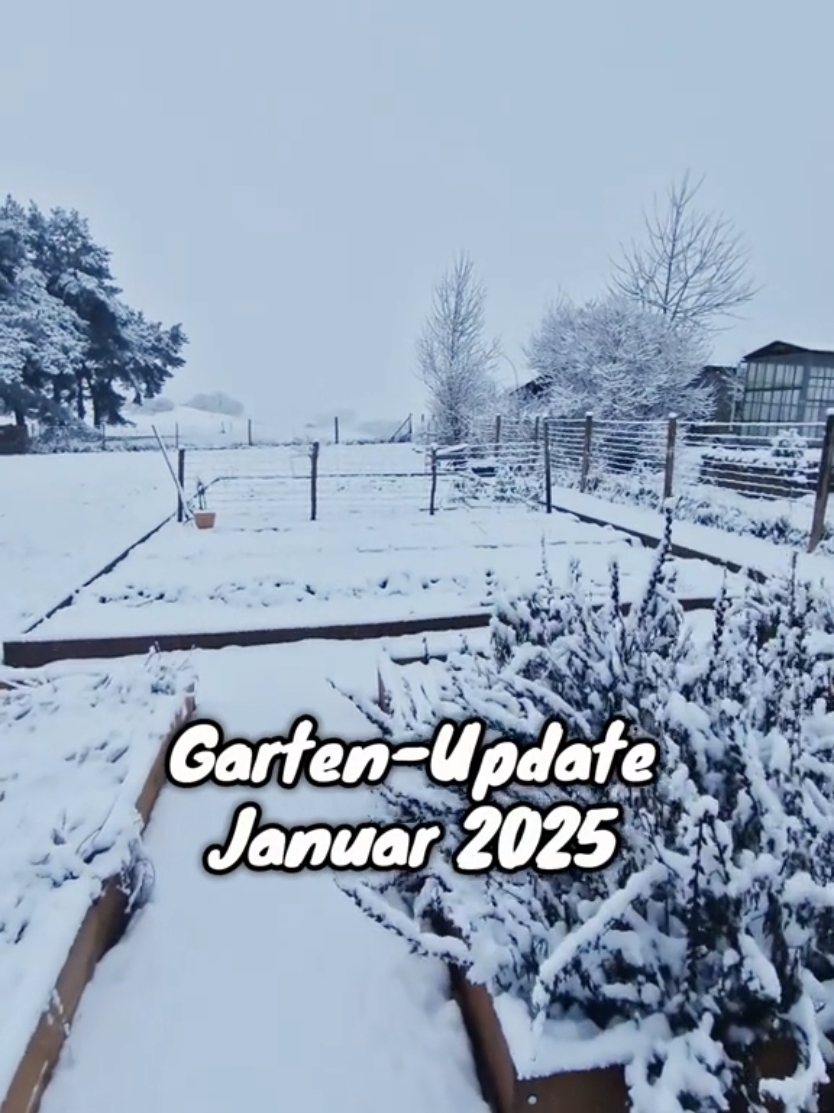 Kleines Update aus dem Garten! ❄️ Ich freue mich wahnsinnig darauf mit euch in das neue Gartenjahr zu starten und euch hier bei allen Schritten mitzunehmen 🎉🌱 #gärtnern #gemüseanbauen #Landleben #gartenjahr #dorfleben #gemüseanbau #gemüsebeet #garten #selbstversorgung #Gemüse #gartenarbeit #Beet #gartentour 