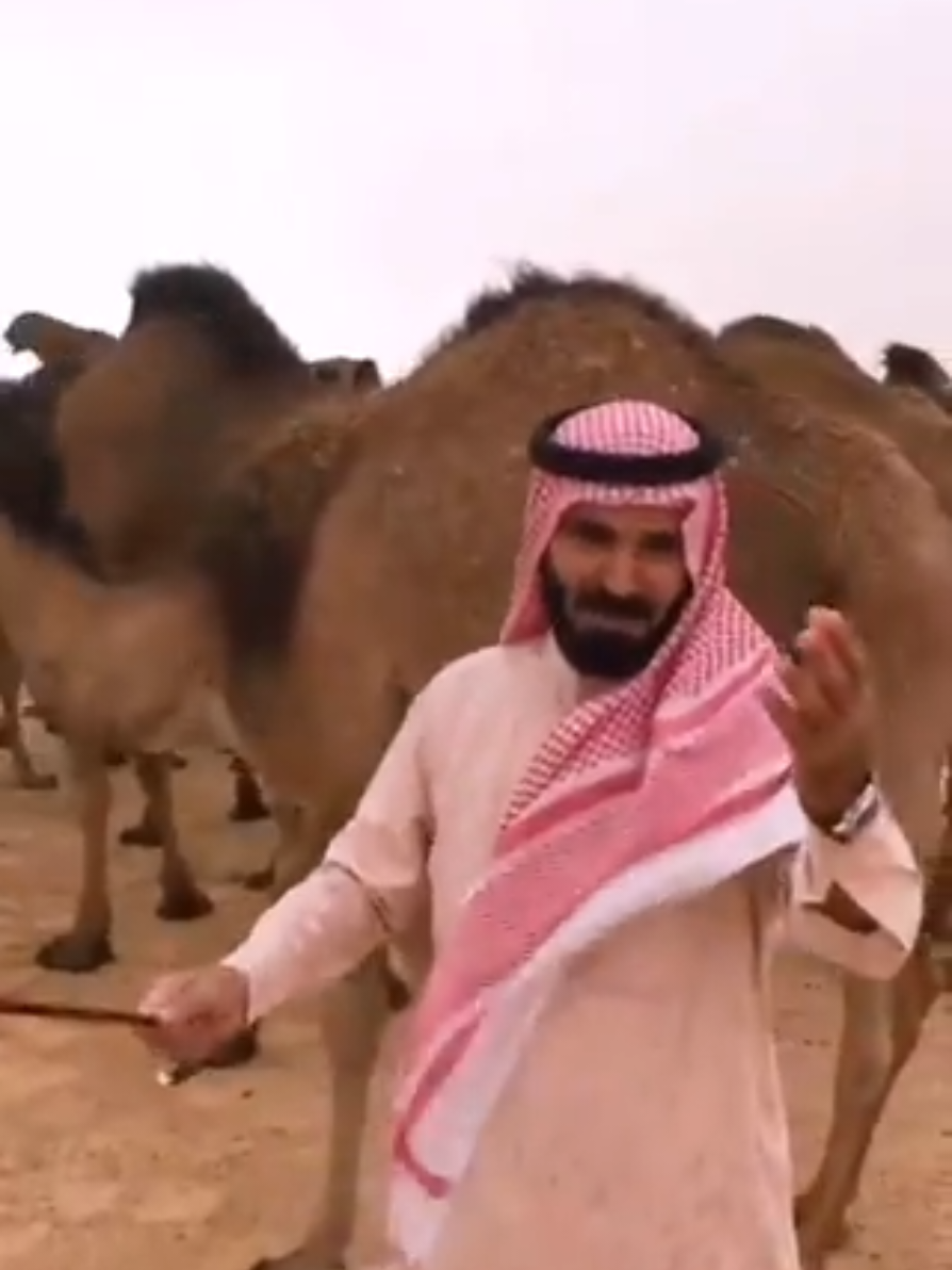 الشاعر سعد الحسين العمرو الاسعدي: البل هواها طابع على الضمير وهيمن على كل المشاعر وانبرى وأصبح بوسط القلب مع دمي خشير اليا جرى دمي مع عروقي جرى #الأساعدة #عتيبة #عتيبة_الهيلا #أساعدة #الاساعدة #الاساعده #الروقة #روق #الروقه #عتبان #العتبان #أسعدي #اسعدي #الأسعدي #الاسعدي #رهاط 