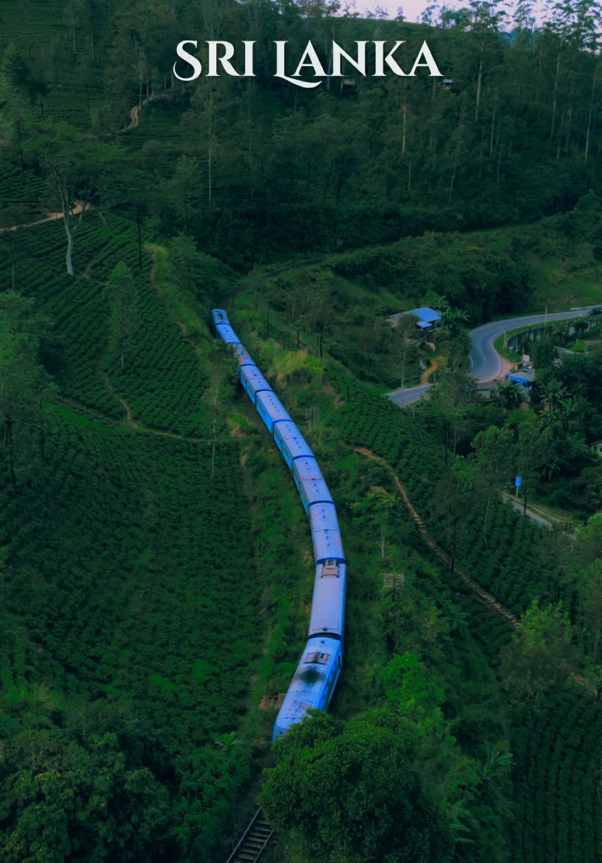 The scenic train ride through paradise continues 🌿 . . This most picturesque train journey was captured in Thalawakale, a part of the renowned scenic train route from Kandy to Ella. If you were fortunate enough to be on the train at this very location, you would have been able to witness one of Sri Lanka’s most breathtaking waterfalls, St. Clairs Falls, right through your window. Regrettably, I am unable to include this stunning sight in the drone shot. To truly experience the beauty of St. Clairs Falls, you must be on the train. . . #travelblogger #travel #instatravel #travelgram #wonderlust #nature #adventure #naturephotography #travelphotography #instagood #instadaily #viralvideos #instagram #instafamous #reelsvideo #Love #trending #foryou #reelsindia #reels #srilanka #srilankadaily #fyp #fpv #viralvideos #nuwaus #2025 #bestplacestogo #cinematic  #nuwausd #nuwan 