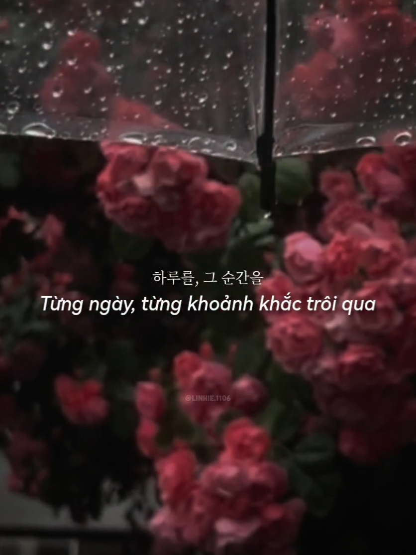 still with you.. #jungkook #stillwithyou #lyrics #douyin #trending #tnlcorner 