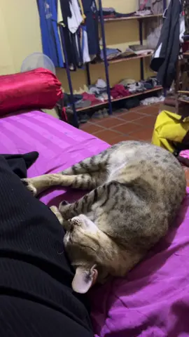 កាត់ត្រីខ2 កំប៉ុង🤣🤣