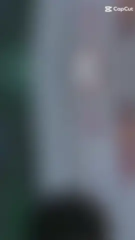 #CapCut 
