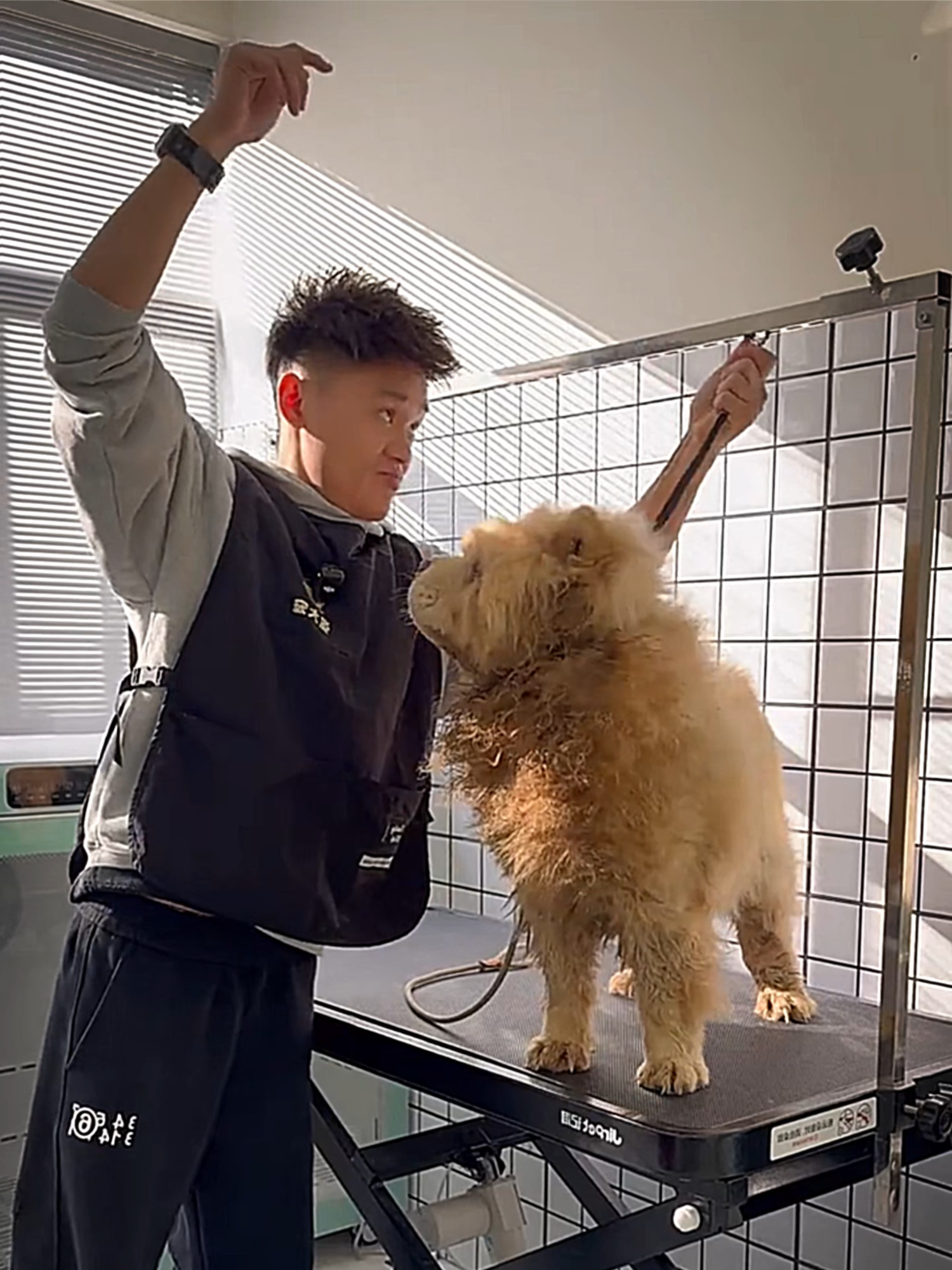 (Today's challenge, cleaning 🐶 aggressive dog. How he calms it down) . . . . . .#aggresivedogs #catlover #dogs #pets #aggressive #dogsoftiktok #catsoftiktok #cats