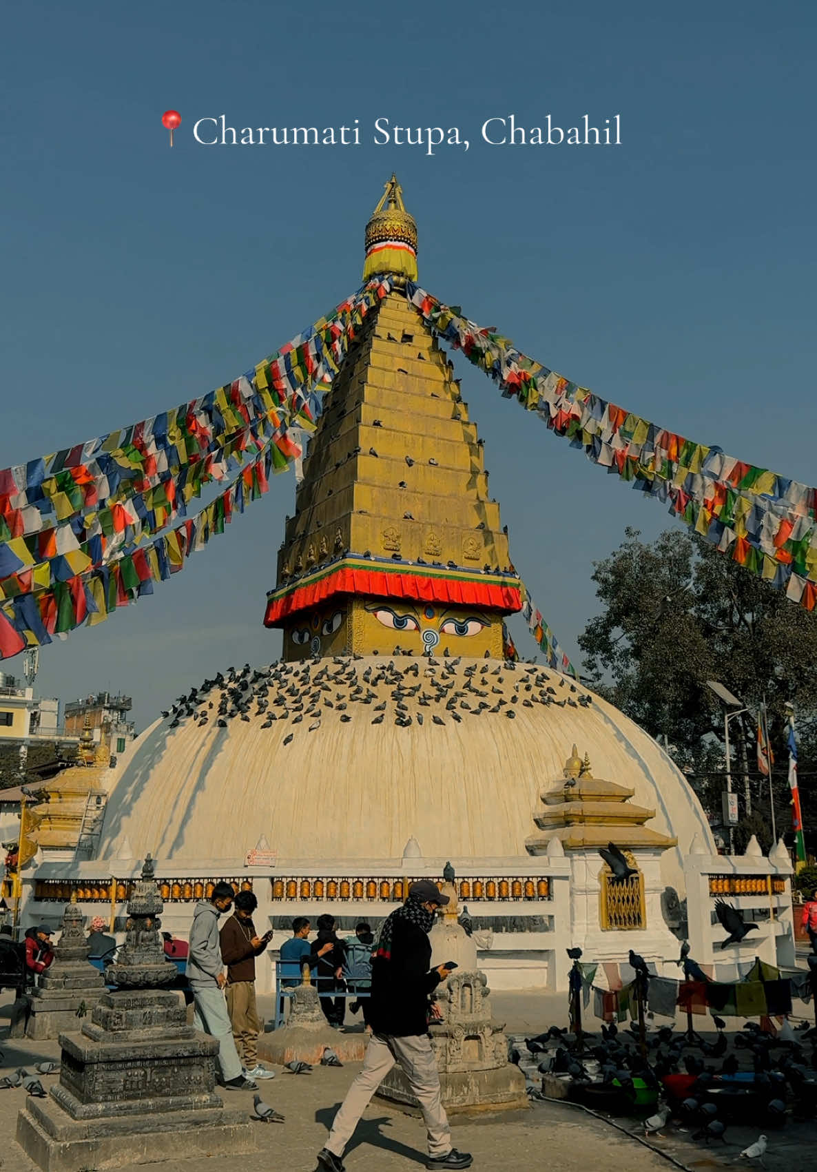 Nirmohi ❤️ 📍Charumati Stupa, Chabahil