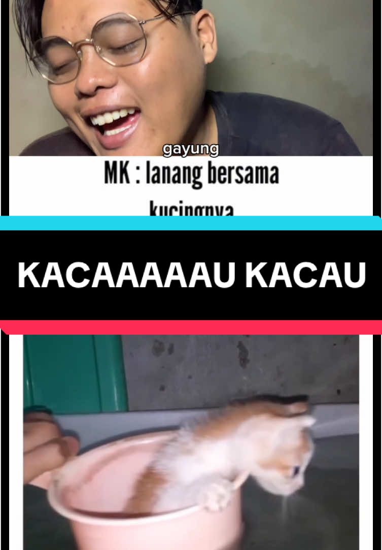 KUCINGNYA TENANG LOO…🤣🤣🤣 #dhnasrul #funny #meme #haha #fypシ 