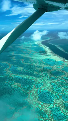 Witness the beauty of 📍#GreatBarrierReef from above 🪸 This vibrant ecosystem is the largest coral reef system in the world and can even be seen from space 🤯 🎥 @charlotte.slle03 #visitaustralia #barrierreef #sealife #australiatravel