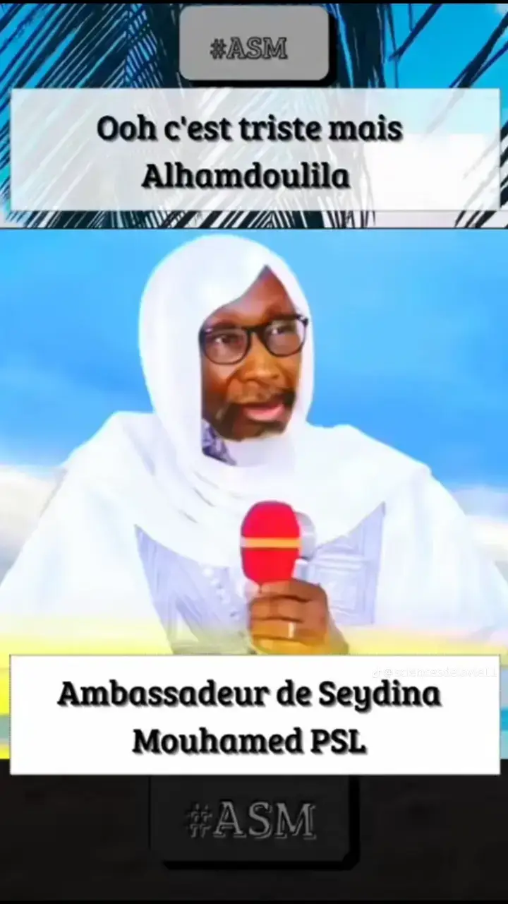 Ambassadeur SEYDINA MUHAMMAD 🌍