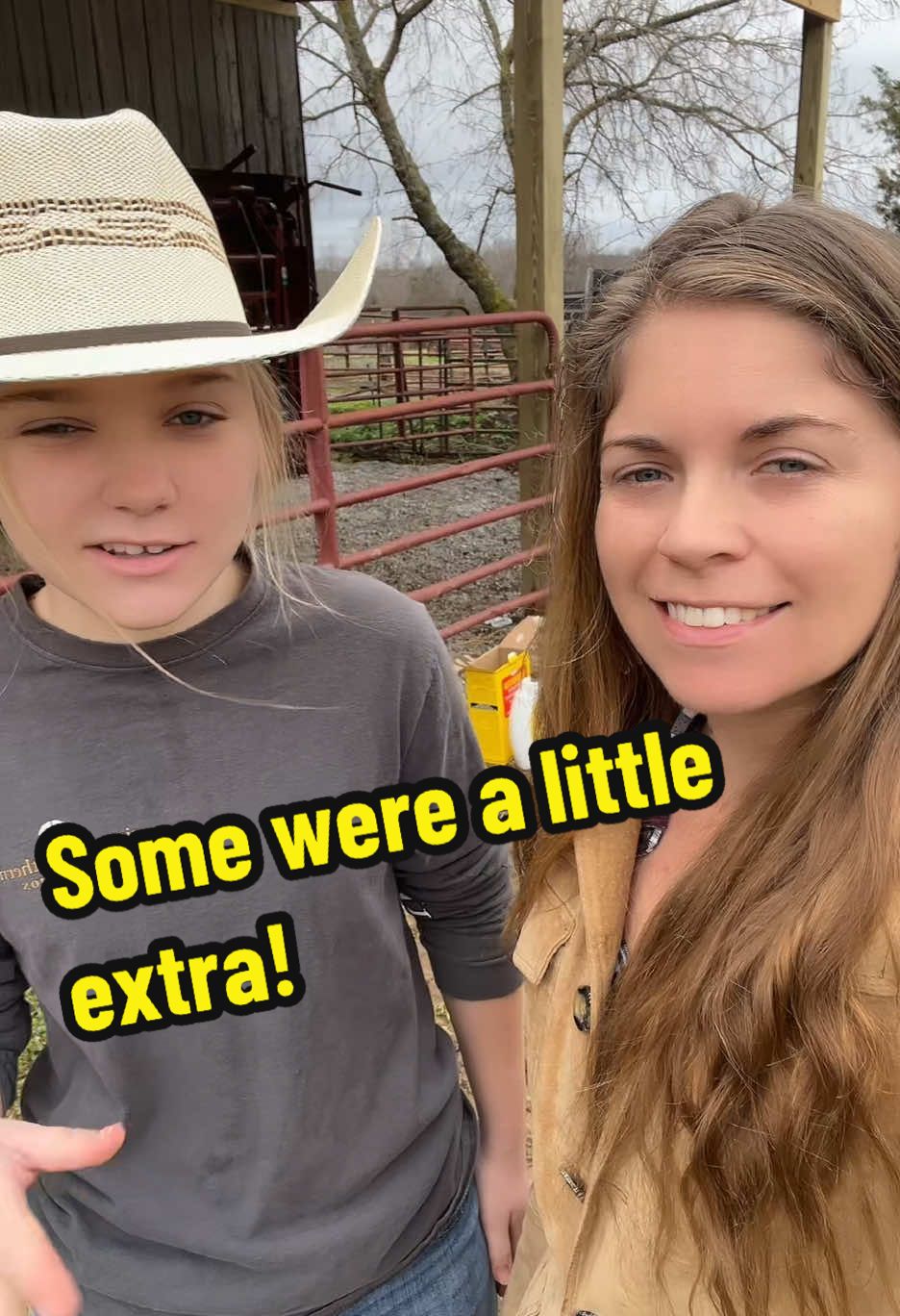 Working cattle on the farm.#farmlife #cattle #farmgirl#cowgirl#farmwife