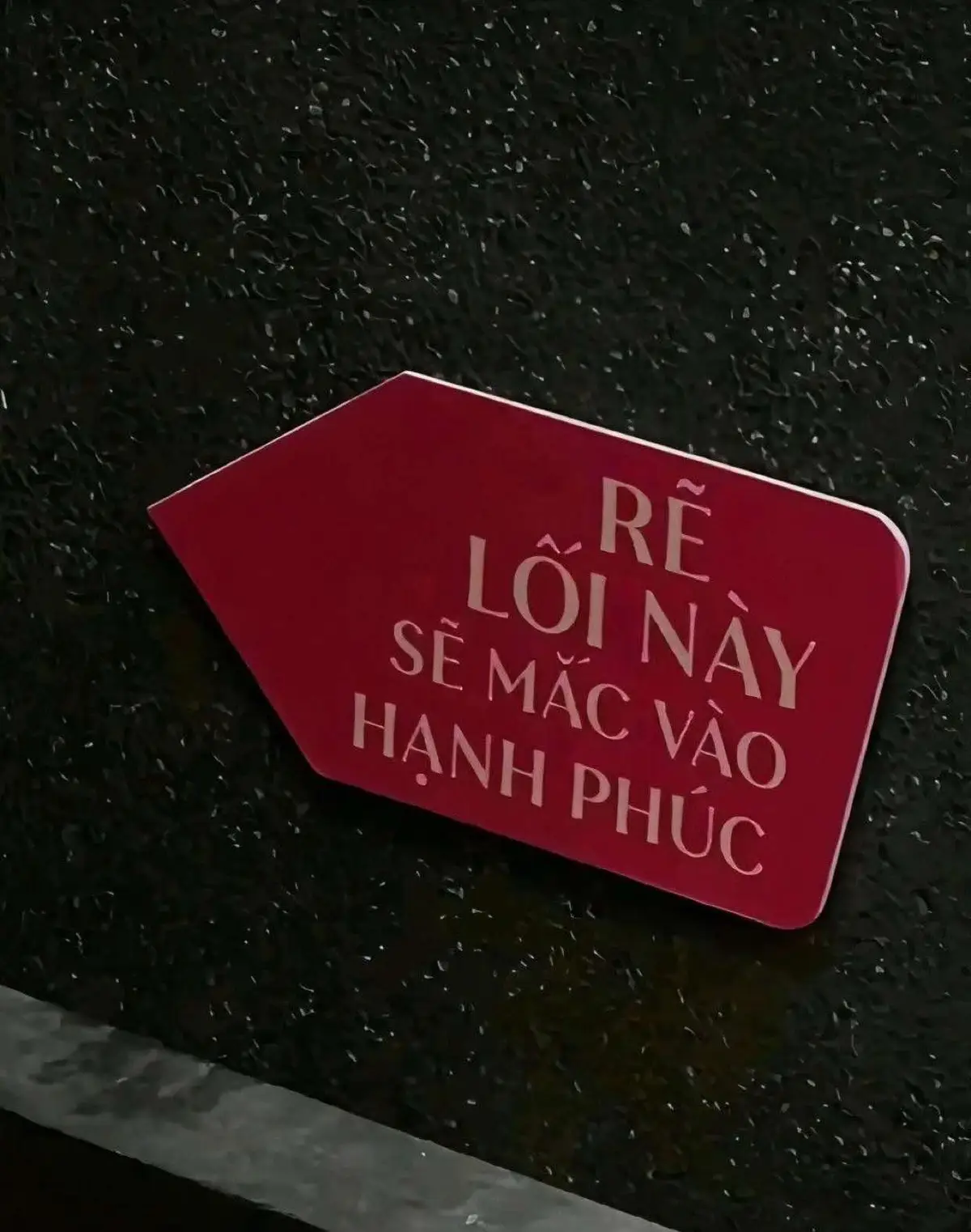 Có lẽ mình đợi ngày này cũng hơi lâu một chút rồi 🤍. Có một khoảng thời gian tối nào mình cũng chắp tay xin ông trời cho mình được hạnh phúc. Hạnh phúc với mình lúc đó sao mà xa xỉ kinh khủng luôn. Lần nào cầu xin hạnh phúc mình cũng khóc vì không biết mình đã làm gì mà phải cầu xin điều này. Ngày đó có một người hoài nghi về bản thân siêu siêu nhiều. Luôn tự hỏi rằng là do mình chưa đủ tốt, chưa đủ tinh tế phải không ?  Sau này may mắn nếu được ai đó chở che và hạnh phúc, chắc chắn mình sẽ không bao giờ quên những ngày mình đã tự đi qua khó khăn cỡ nào. Để mình biết mình luôn xứng đáng với tình yêu ra sao và cũng để họ biết, mình đã rất cố gắng thế nào để mạnh dạn gặp và mở lòng yêu thêm lần nữa 🎀 #loveyourself #happy #greatful #HealingJourney 