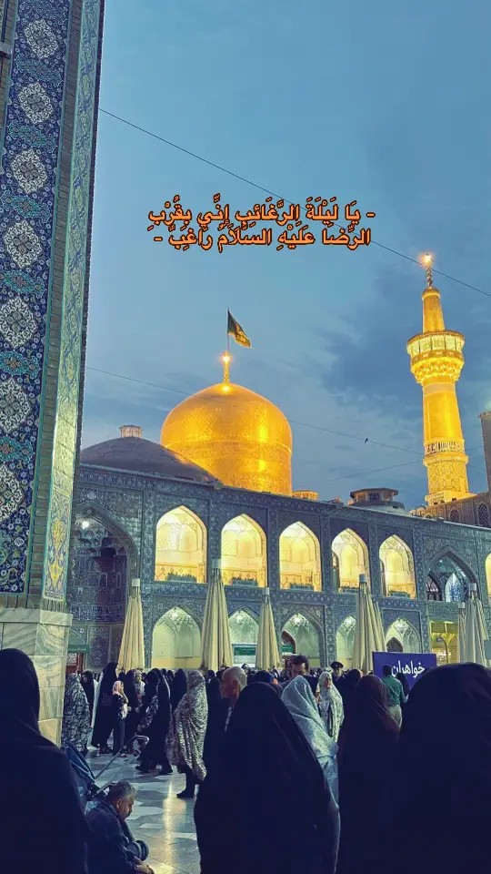 يَا رَبِّ لِلرِّضَا وُدِّي بِزِيَارَةٍ💔#lern #mashad #اللهم_العودة #شيعة_علي_الكرار #انيس_النفوس #313🏴 #رضا_جان 