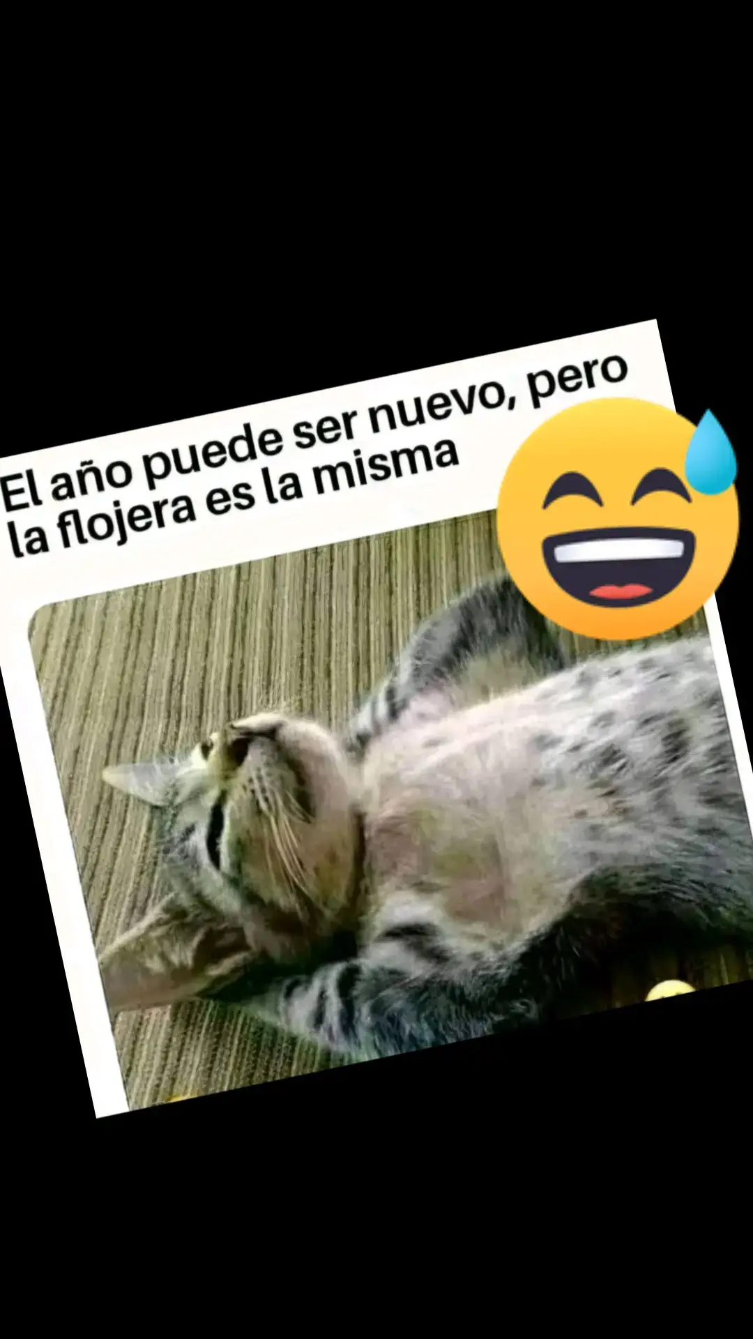 #gatitos #animales #paratiiiiiiiiiiiiiiiiiiiiiiiiiiiiiii 