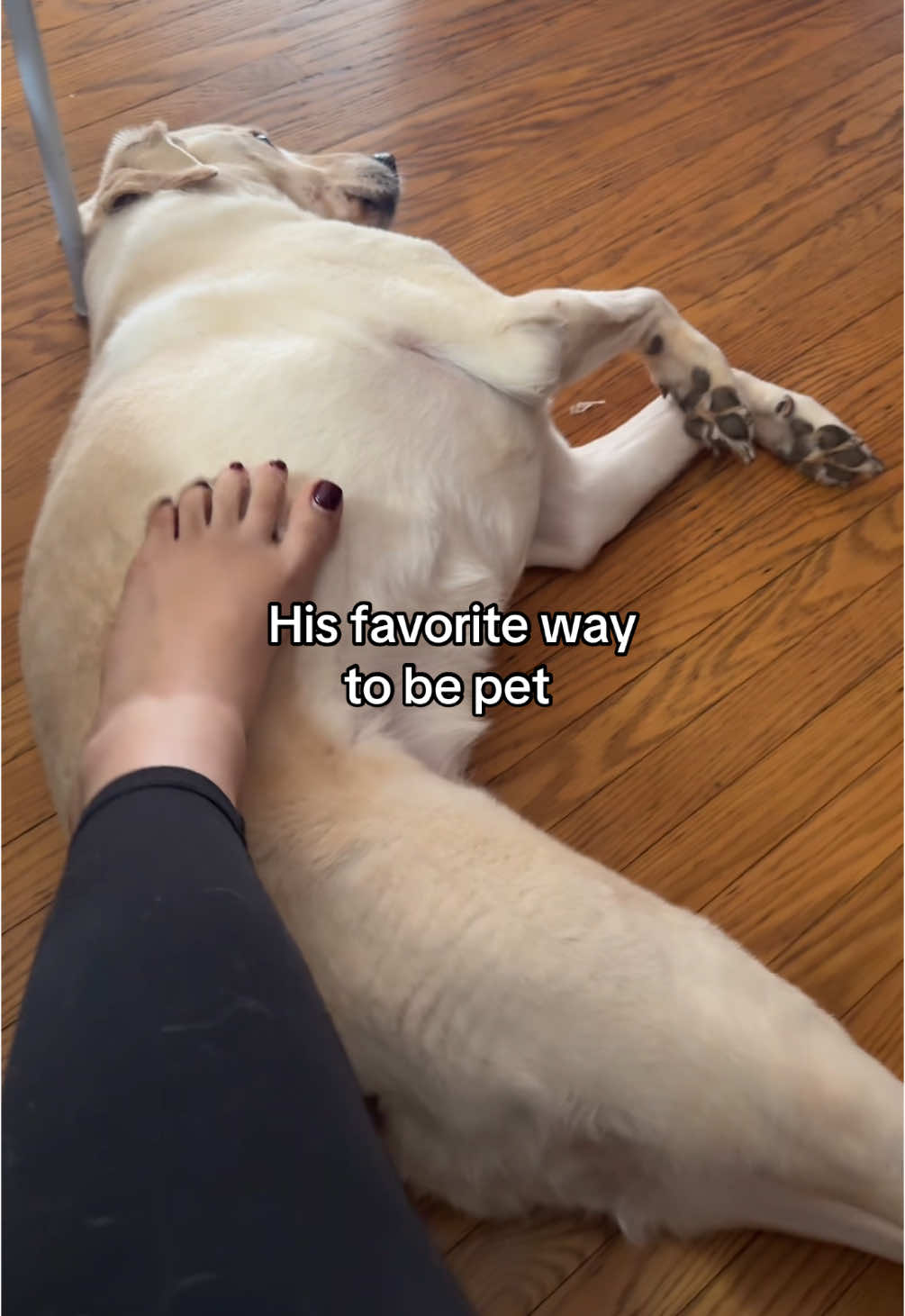 He loves rubs 