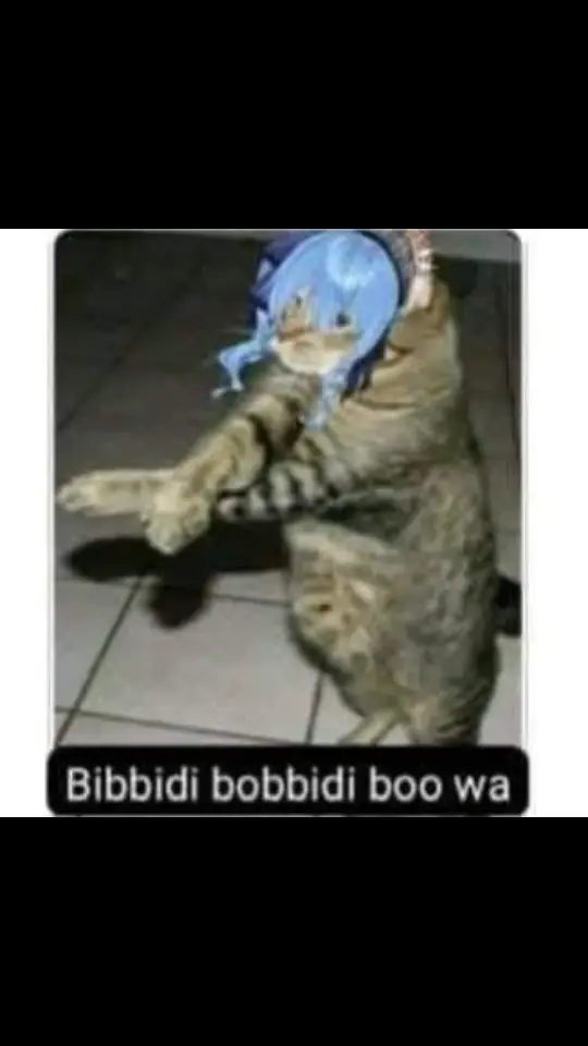 #hololive #cat #hoshimachisuisei #hololivejapan #hololivememes #vtuber #vtubermemes #fyp 