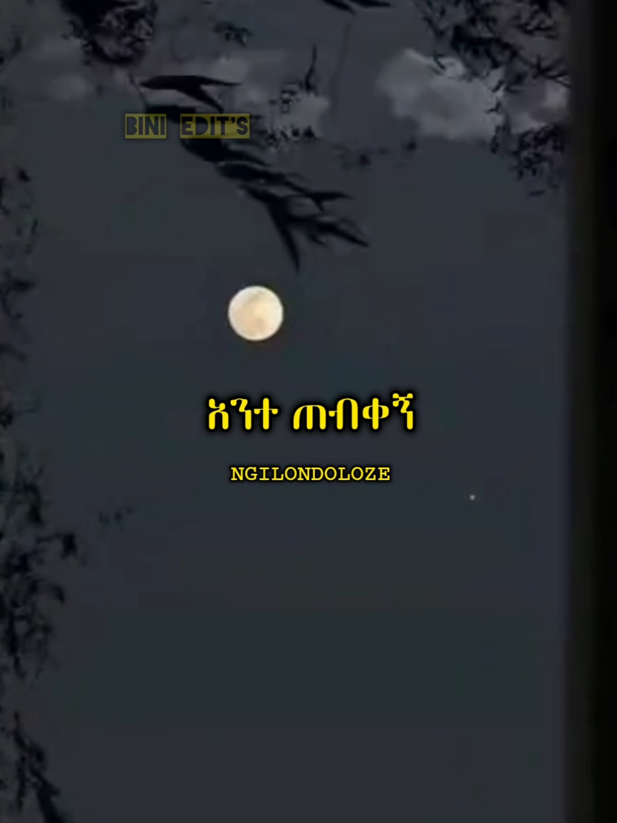 MASTER KG -JERUSALEMA ------------------------------- #ethiopian_tik_tok🇪🇹🇪🇹🇪🇹🇪🇹 #foryoupage❤️❤️ #FORYOU #