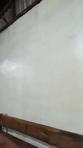 pulang malu ga pulang rindu 