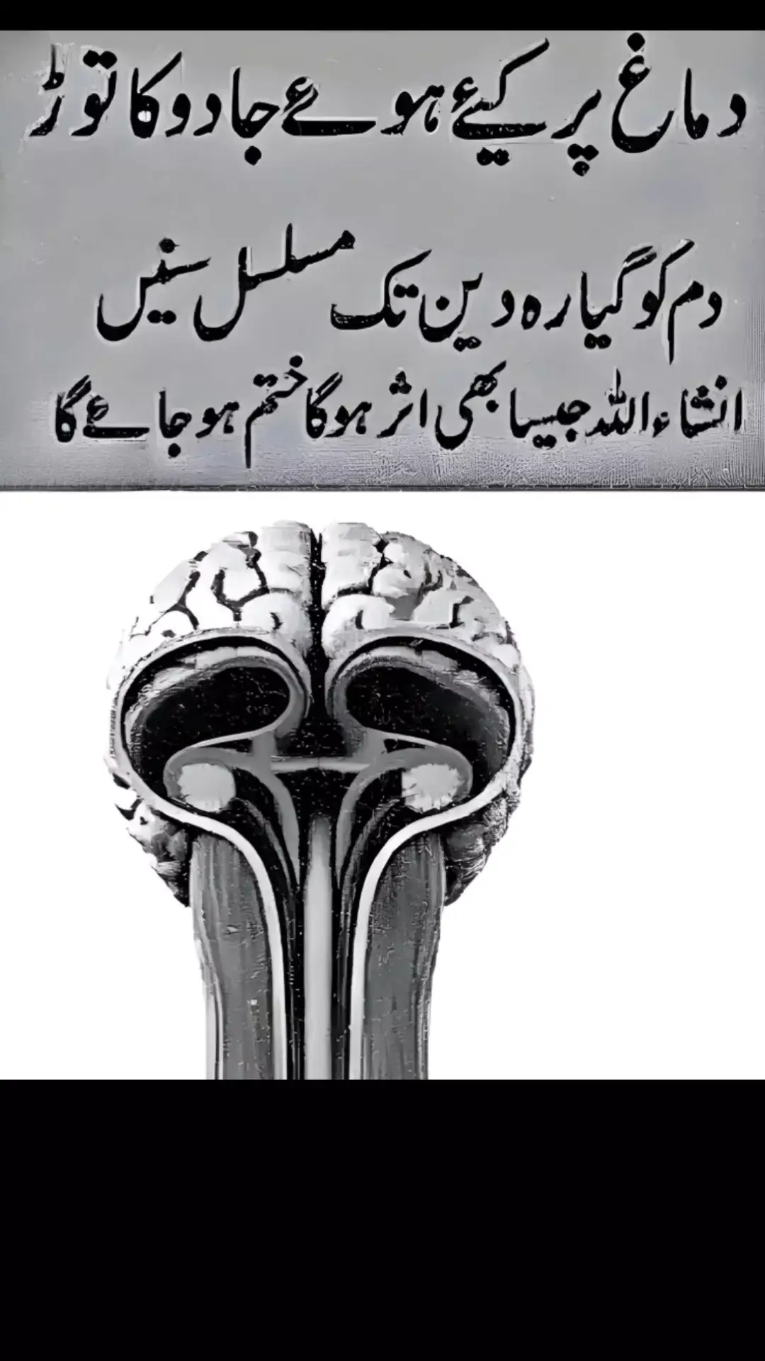 دماغ پر کیئے ہوئے جادو کا توڑ دم کو گیارہ دین تک مسلسل سنیں انشاء اللہ جیسا بھی اثر ہو گا ختم ہو جائے گا #islamicvideo #islamic #viral #islamic_video #ismaic #fyp #viral #growmyaccount #unfreezemyacount #islamichub #foryoupage #foryou #islamichub0071 